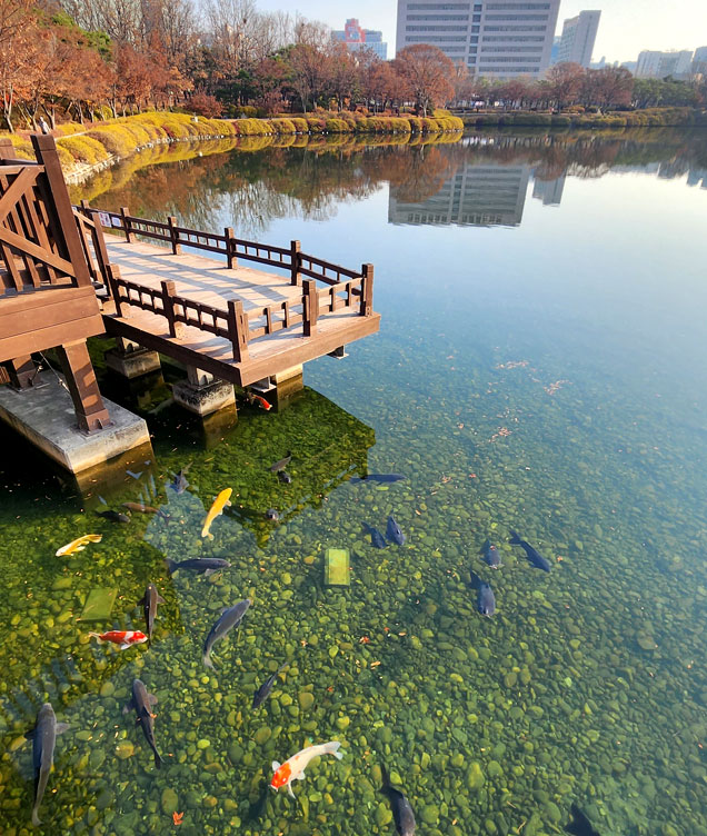 Ilsan Lake Park image1