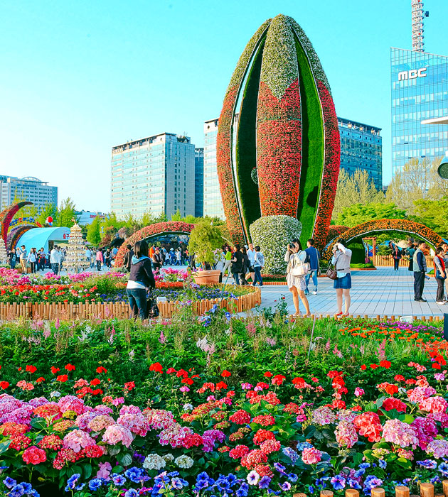 高阳国际花卉博览会 意象